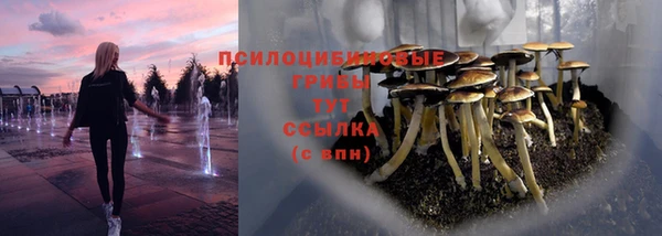 spice Армянск