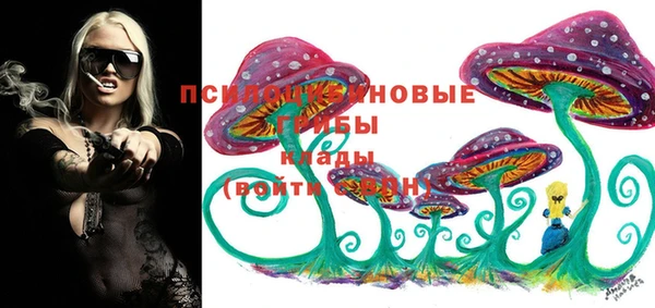 mdpv Арсеньев