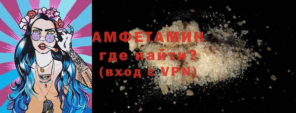 дживик Няндома