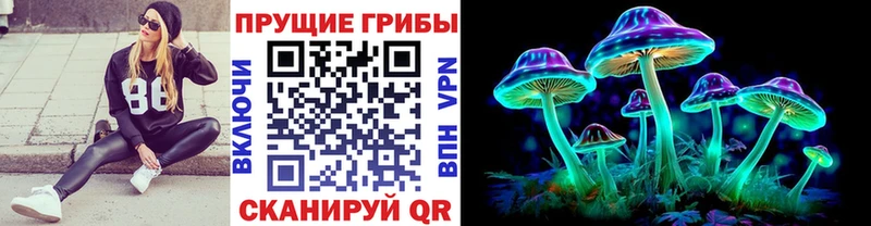 Псилоцибиновые грибы GOLDEN TEACHER  Белёв 